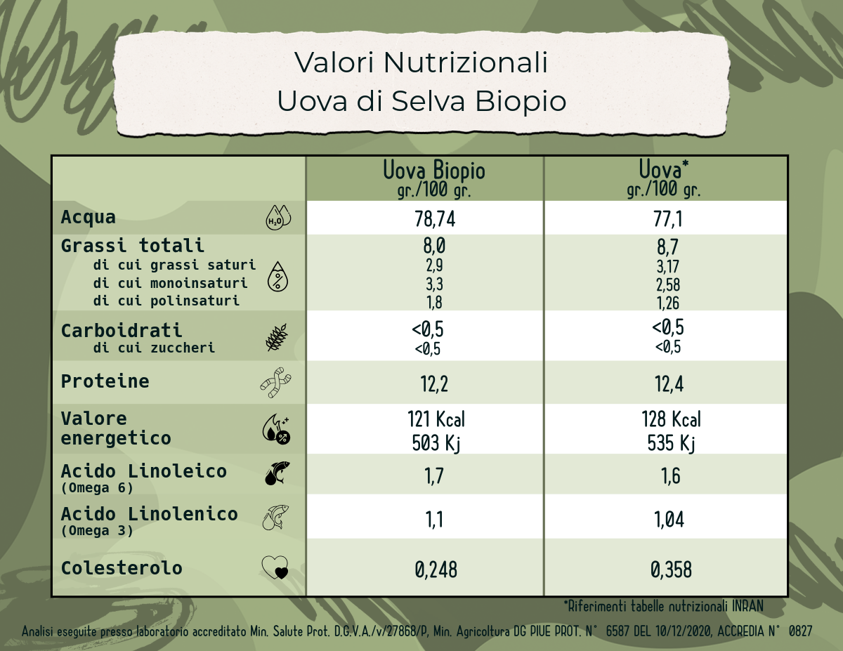 CONFEZIONE 30 UOVA DI SELVA DA ALLEVAMENTO ALL'APERTO FREE RANGE - immagine 3